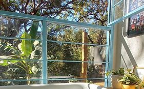 Casa na floresta na Chapada dos Veadeiros